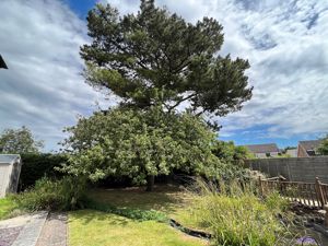 Photo 11- click for photo gallery